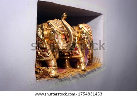 two elephant isolated in box very beautiful gold color