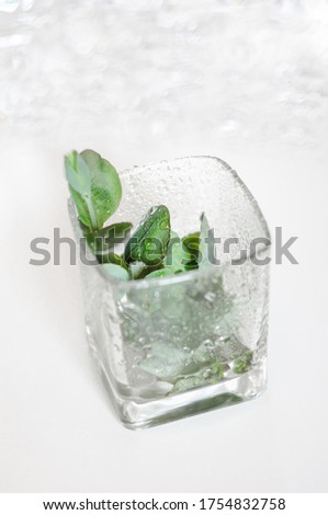 Green fresh leaves in a square glass with drops on glass. White background with blurry sparkles in the upper third, saturated leaves, healthy lifestyle cocktail. Vertical picture photography.