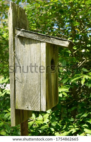 Bird house on a background of green leaves