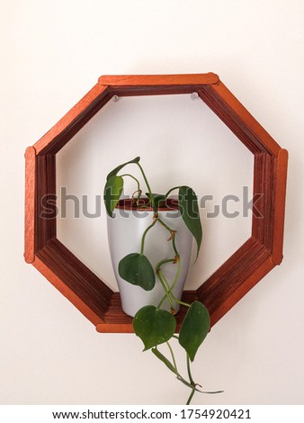 hexagonal wall shelf made out of wooden popsicle sticks hanging on the wall with potted little plant inside. DIY and crafting at home concept.