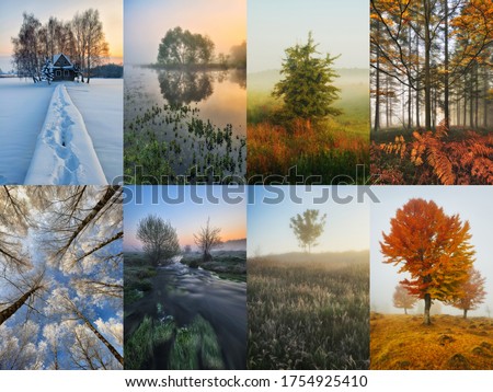 Four Seasons Collage - Spring, Summer, Autumn, Winter