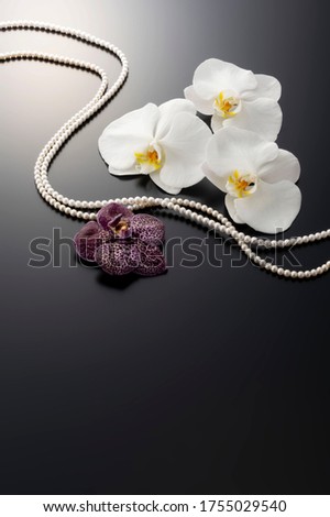 The background of the orchid, studio photography