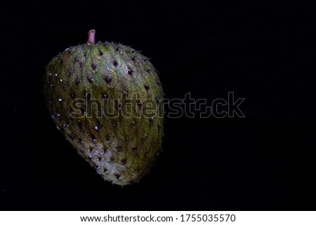 Fresh and green soursop fruit with black background