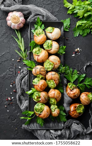 Snails baked with sauce. Baked snails with butter and spice. Top view. Free space for your text.