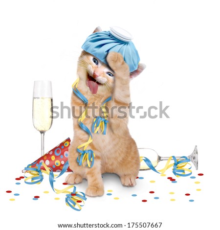 Hangover, cat with ice pack on his head on white background Royalty-Free Stock Photo #175507667