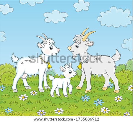 Small white kid with a nanny goat and a grey he-goat walking on green grass of a pretty summer field with colorful flowers on a wonderful warm day, vector cartoon illustration