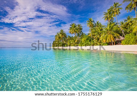 Tropical beach background as summer landscape, palm trees and white sand, horizon of calm sea for beach banner. Relax nature of beach scene, vacation and summer holiday concept. Luxury summer travel