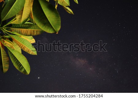 Milkyway, night sky view with bright stars and leaves of tree, Ubud, Bali, Indonesia. The sky becomes clear due to covid-19