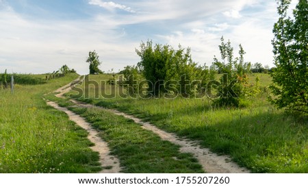 
Pretty dirt road in the middle of a green landscape Royalty-Free Stock Photo #1755207260