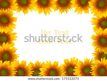 Framework from sunflowers 