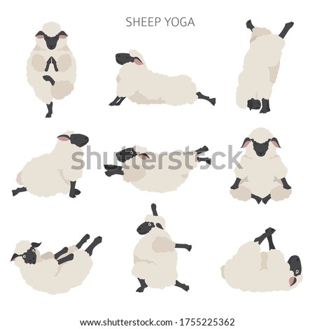 Sheep yoga poses collection. Farm animals set. Flat design. Vector illustration