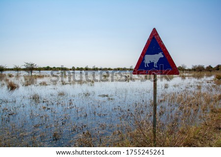 Cattle road sign next to flooded plains in Africa