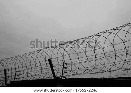 photo of a long barbed wire