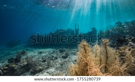 Ship wreck "Tugboat " in  shallow water of coral reef in Caribbean sea / Curacao with view to surface and sunbeam Royalty-Free Stock Photo #1755280739