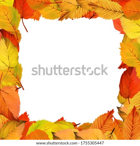 Aspen leaves framework. Autumn clip art on white background