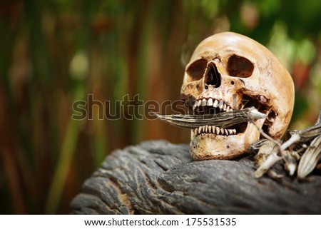 Still life fine art photography on human skeleton jungle concept with agriculture product