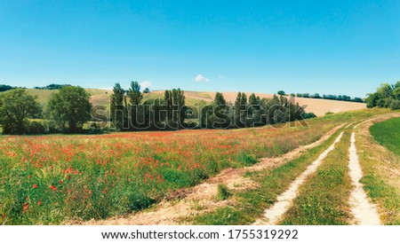 Beautiful rural landscape in spring, green fields and blue sky