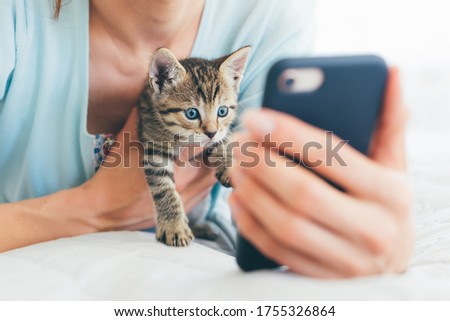Cropped image of young woman lying on bed with tabby kitten and watching on phone - closeup of shocked or curious kitten looking at the screen of smartphone