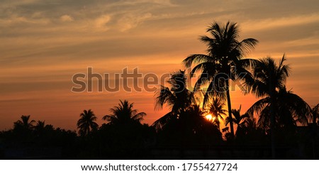 Picture of sunset in evening time 