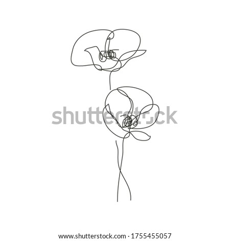 Continuous line decorative hand drawn poppy flowers, design elements. Can be used for cards, invitations, banners, posters, print design