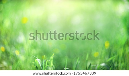 
Green blurred background. Abstract wallpaper background. Grass background