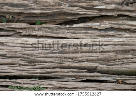 The old decay log plank deep scratched surface with texture background.
