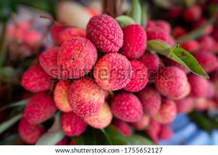 Bunch of ripe lychee or lichi, tropical agriculture product from Thailand. Fruits photo. Royalty-Free Stock Photo #1755652127