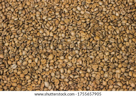 texture of fresh brown and unroated coffee beans from single origin natural closeup background