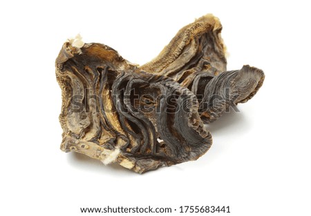 Photo of dried bamboo shoots on white background