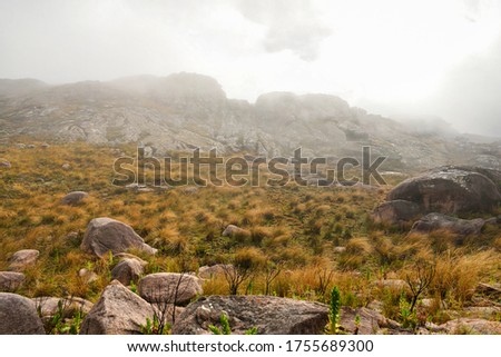 Mist rolling over brown green grass growing on rocks, typical scenery seen in Andringitra national park, during trek to pic Boby