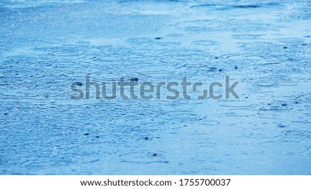 Puddle with raindrops and circles on the surface of the river water, background puddle rain 