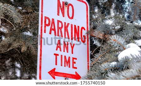 Panorama No Parking sign against blurry leaves of coniferous trees with snow in winter