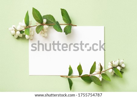 White empty paper. Holiday greeting. Mistletoe decorative arrangement. Mint green background.