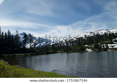 Mount Baker National Forest In Washington State