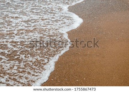 Waves breaking on shore of the sea. closeup of sea foam on wet sand.