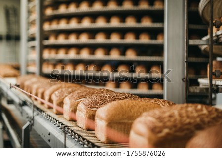 Loafs of bread in a bakery on an automated conveyor belt Royalty-Free Stock Photo #1755876026