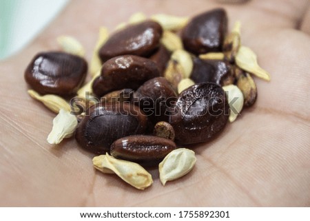 A picture of mixed seeds