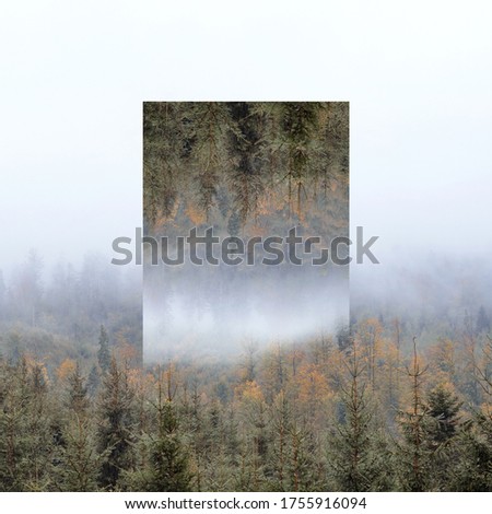 Mountains and forest, polygonal forest landscape background. Abstract reflection landscape.