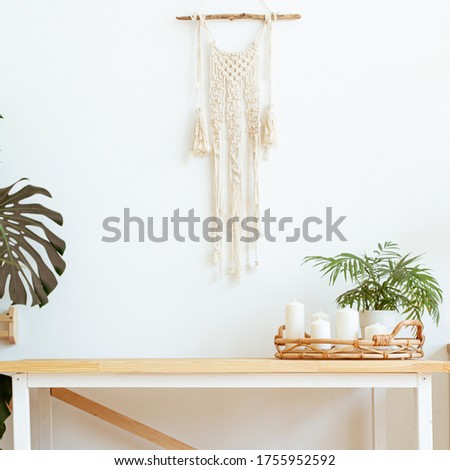 Vintage boho set with dried flowers on white wall background. Lifestyle Interior design wall. Beige still life composition