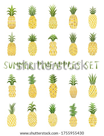 Set of colored pineapples. Big collection of juicy tropical fruits. Vector illustration. Hand-drawn. Isolated over white background. Decorative pineapples for your design with text.