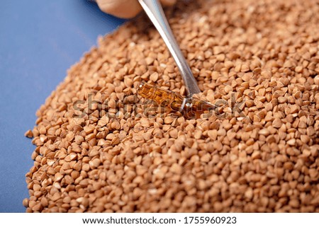 Background of raw buckwheat cereals from above