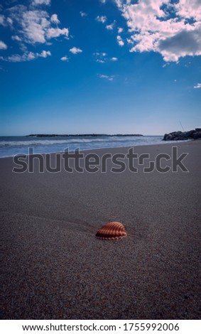 beach shell with sand and water background, rocks with blue sky and clouds