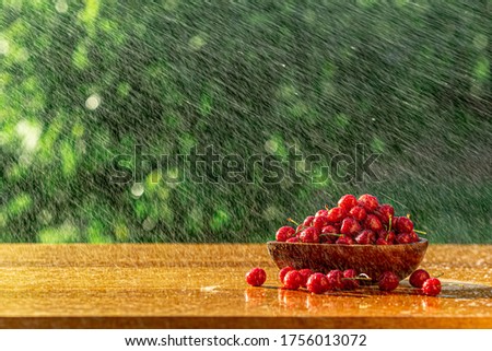 Ripe red cherry in a wooden plate on a brown table under a strong summer rain in the garden on a green background