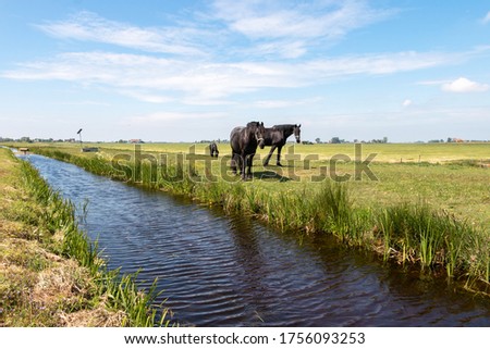 The Netherlands a wet country full of ditches and canals, sailing boats and vast plains with grassland, photos taken in Friesland Gaasterland region Royalty-Free Stock Photo #1756093253