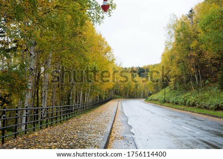 Autumn road in the mountains after the rain