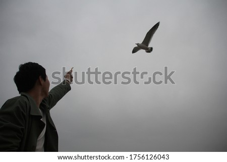 a man who feeds gulls living in the sea.
