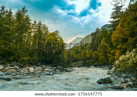 Parvati River flows through the forest ,on way to Sar Pass trek ,
Kasol, Himachal Pradesh India.