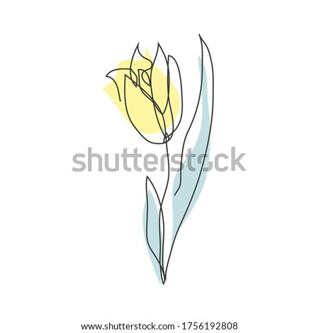 Decorative continuous line  hand drawn tulip flower, design element. Can be used for cards, invitations, banners, posters, print design