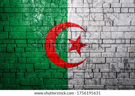 National flag of Algeria on brick  wall background.The concept of national pride and symbol of the country. Flag  banner on  stone texture background.