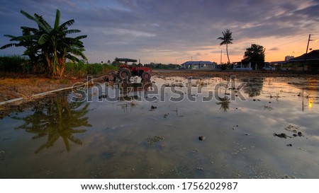 Clear Blue Sky and Outstanding Sunset at Paddy Rice field, Malacca, Malaysia.